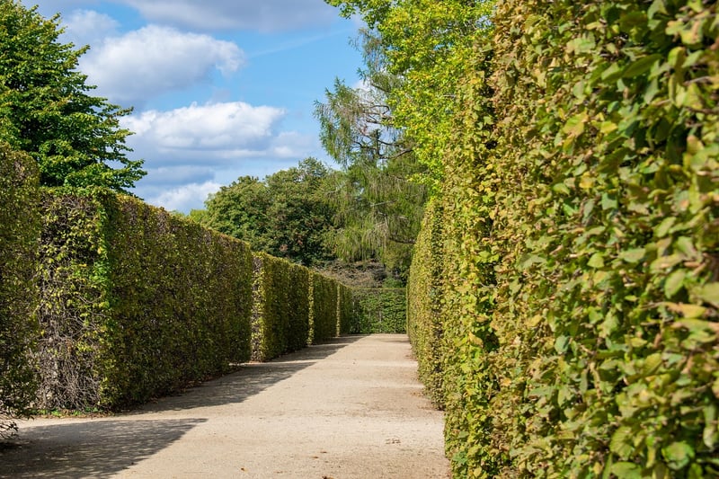 Labyrinth Walking Meditation